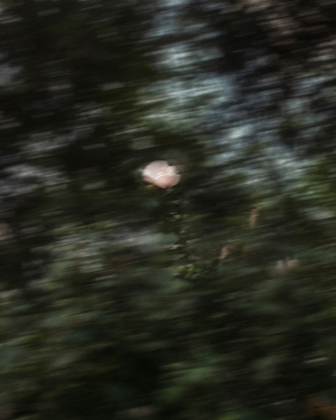 Haunted~ Why did they GHOST you?