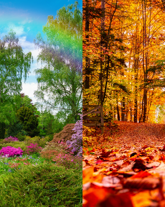 SEASONAL PREDICTIONS~ SPRING/AUTUMN~ [March 20th-June 20th]~(1 Hour)