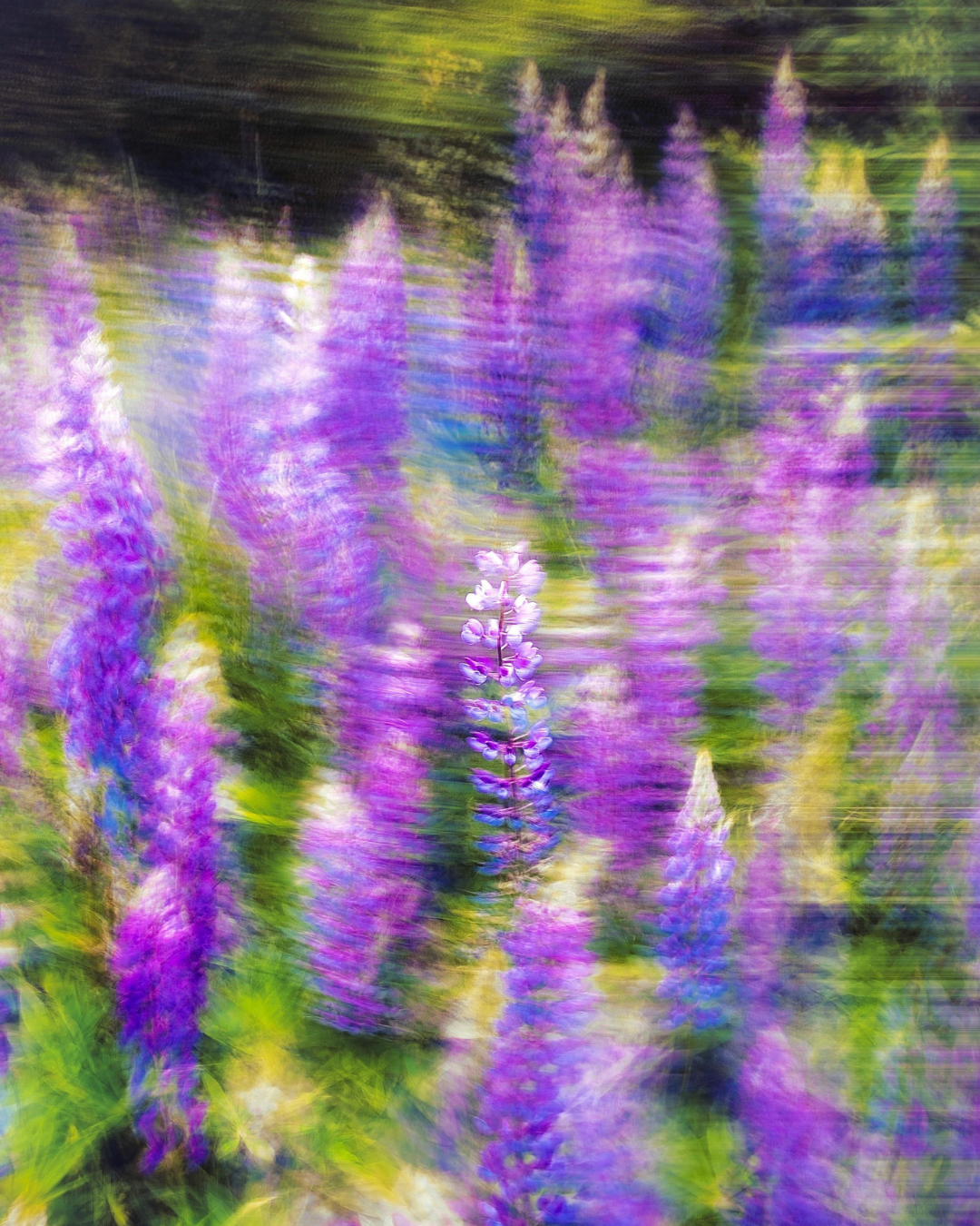 The Karmic Thread