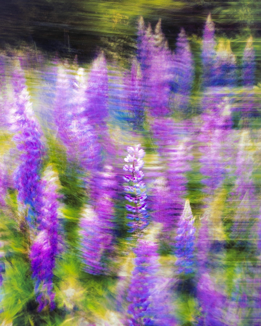The Karmic Thread