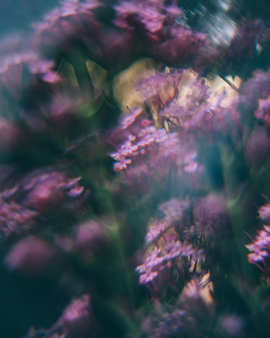 Unravelling The Pattern